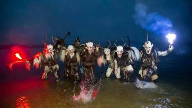 Henndorfer Wallerseeteifen