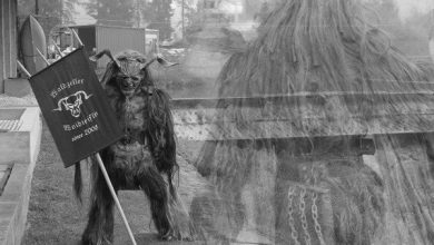 Waldzeller Woidteifln