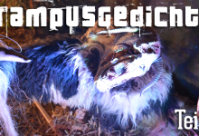 Krampusgedichte teil 1