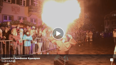 Seinihonsa Koasapass